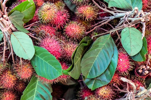 Fresh rambutan in local market, Thailand.