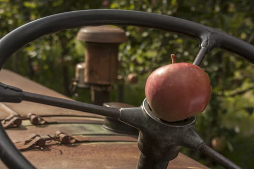 A red apple just collected and placed on the steering wheel used for harvesting.