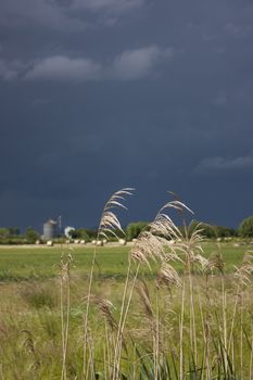 Landscape Italian countryside during the arrival of a strong storm, with very dark sky and high contrast with the surrounding nature.