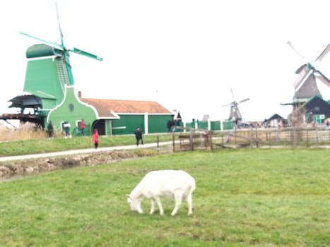 a scene at a Dutch farm