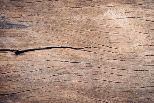Old wood board, copy space wooden texture pattern background
