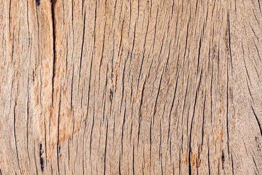 Old wood board, copy space wooden texture pattern background