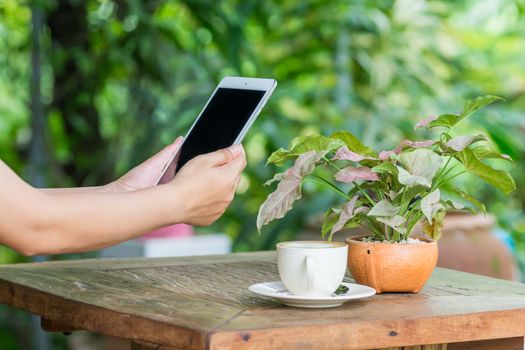 Close up of hands woman using tablet in cafe