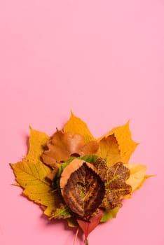 Colorful withered leaves. With the heart shape cut out in the middle on pink background. Studio shoot. View from above. Vertical orientation. Copy space. Minimalistic style