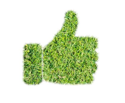 Green grass thumbs up icon on over white background