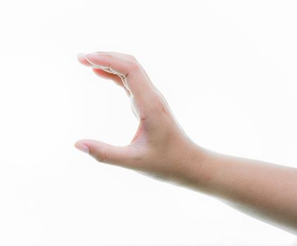 Woman hands holding isolate on over white backgrounds