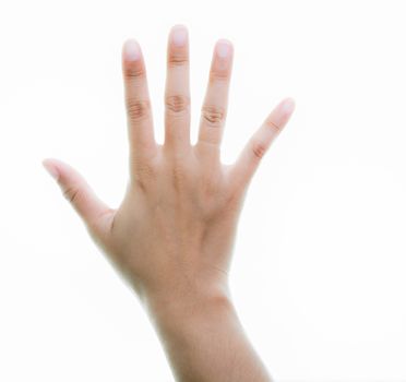 Woman hands holding isolate on over white backgrounds