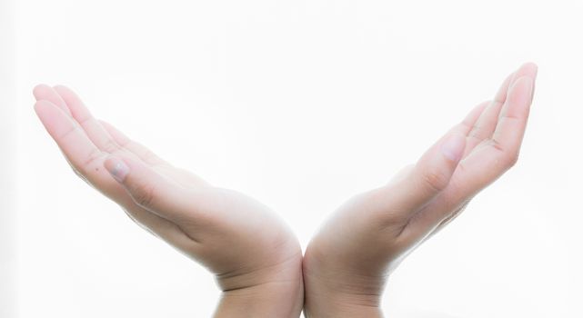 Woman hands holding isolate on over white backgrounds