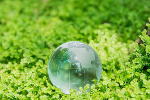 Environment concept glass globe in green grass