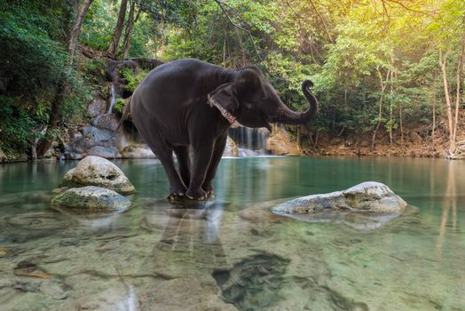 Erawan Waterfall with elephant at Kanchanaburi, Thailand