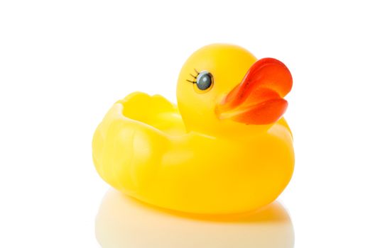 Yellow rubber duck isolate on over white background