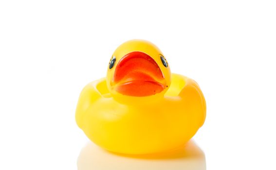 Yellow rubber duck isolate on over white background
