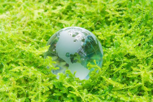 Environment concept glass globe in green grass