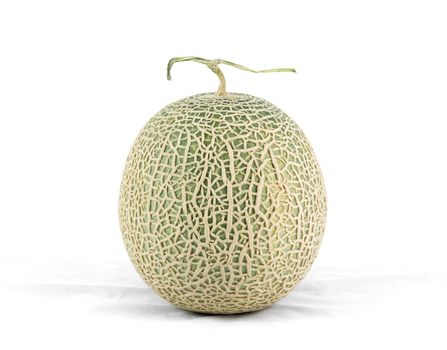 cantaloupe melon isolate on a white background