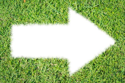 Green grass ecological arrow icon on over white background