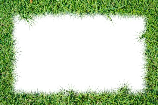 Green grass frame on over white background