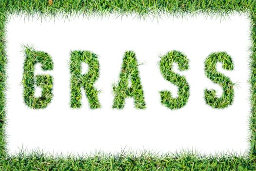 text word GRASS from green grass isolated on white background