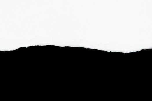 tear white paper pieces of paper on black background