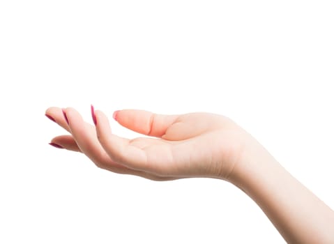 Woman Hands gestures on over white background