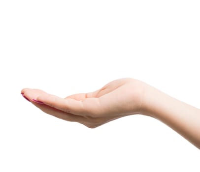 Woman Hands gestures on over white background