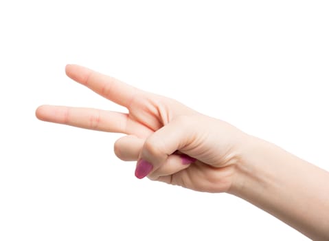 Woman Hands gestures on over white background