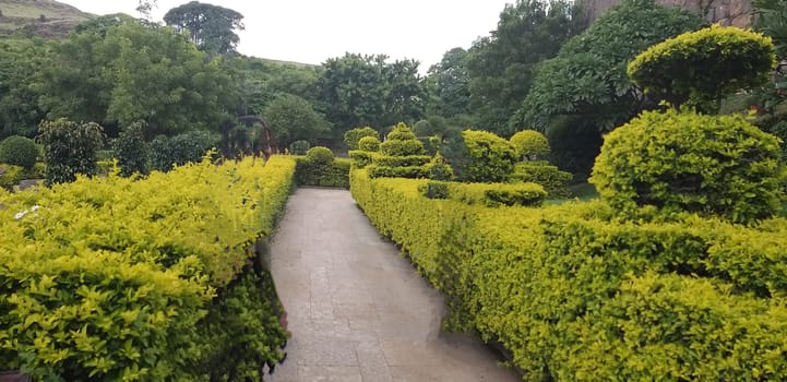 an outdoor green garden