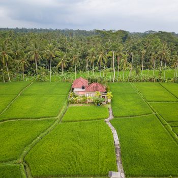 Aerial view of Ubud countryside in Bali, Indonesia