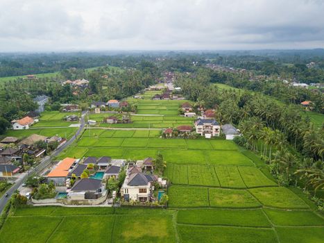 Aerial view of Ubud countryside in Bali, Indonesia