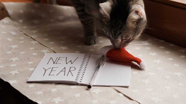 Notebook with pen to write goals of new year - with cat on christmas background