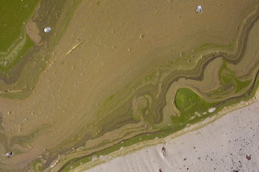 pollution on water surface