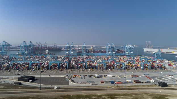 container terminal in the Rotterdam harbor