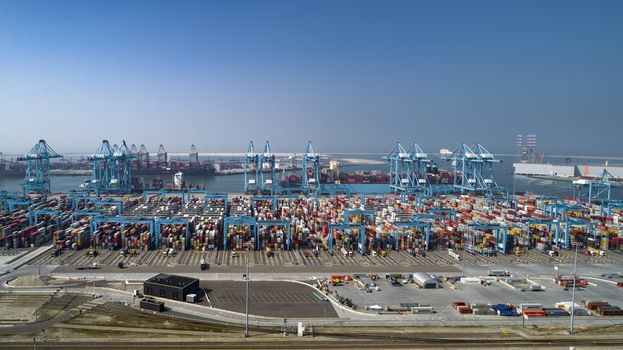 container terminal in the Rotterdam harbor