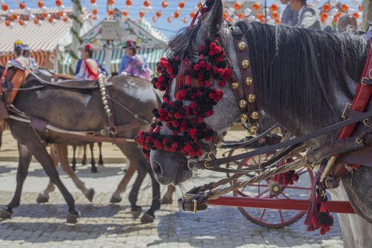 Feria horses. Feria de Abril in Sevilla