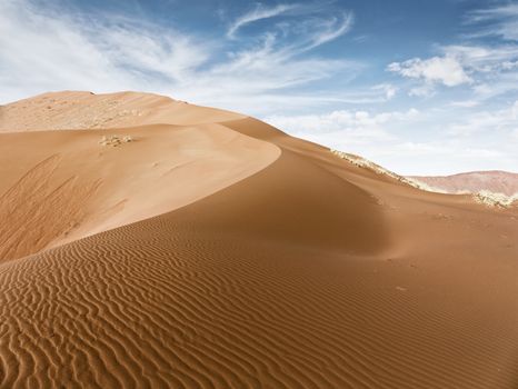 Dunes of the Namib desert and dead trees in the Sossusvlei plato of the Namib Naukluft National Park - Namibia, South Africa