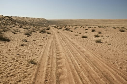 Tyre / Tire Tracks Through The Desert Sand Dunes