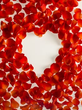 frame pattern of petals of red roses on a white background. top view. copy space - Image