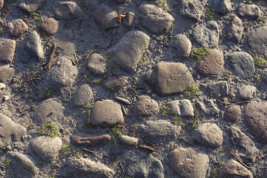 pavement with moss and fresh green grass between paving stones in beautiful city park. Big smooth pebble stones closeup - Image