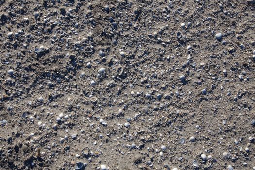 Texture with shell and pebble at wet yellow sand of beach. Vacation background