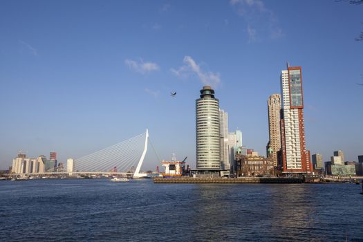 Modern Rotterdam Skyline Panorama, The Netherlands - Image