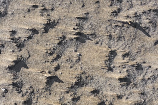 Sunset on the beach. Sand texture. Hard blowing wind