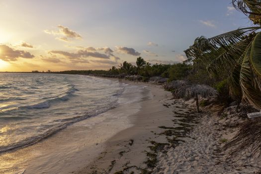 Beach on the tropical island. Clear blue water, sand and palm trees. Beautiful vacation spot, treatment and aquatics