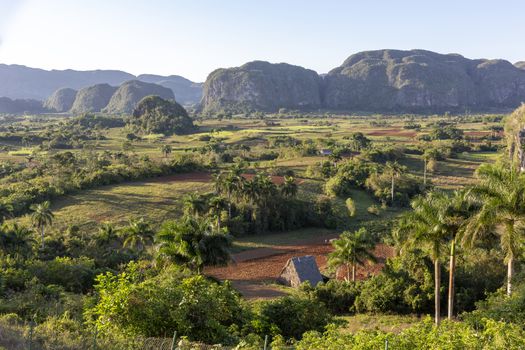 panorma View of fields, mogotes and palms in Vinales Valley, Cuba