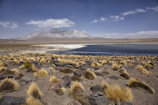 The Green Lagoon, Laguna Verde, of Altiplano in Bolivia, South America