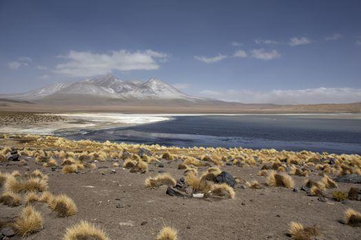 Panorama of Laguna Verde and the volcanos Licancabur and Juriques within the Eduardo Avaroa Andean Fauna National Reserve against a blue cloudy sky, Bolivia. Border with Chile