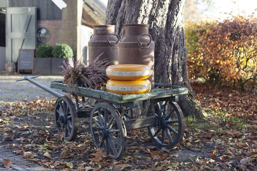 two whole cheese wheels outside on an old wooden cart - image