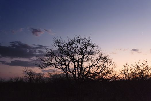 Sunset over the okavango delta in Botswana