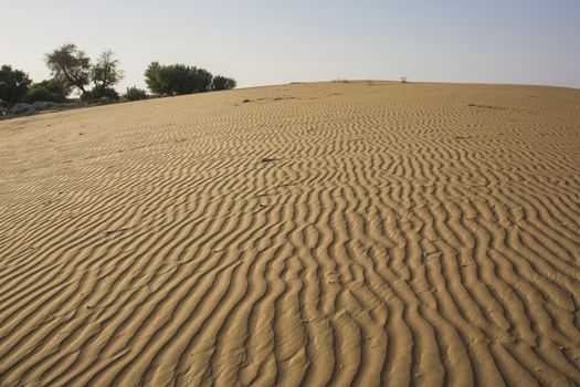 Thar Desert, Rajasthan India