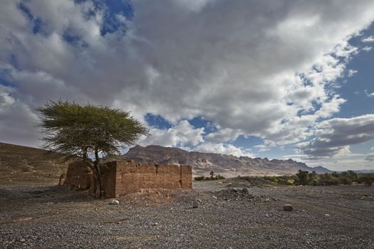 Mountains and Date Palms in the Draa valley near Agdz and Tamnougalt, Souss-Massa-Draa region, Morocco