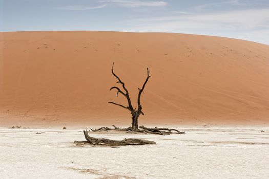 desert Namib,Namibia,Sossusvlei location