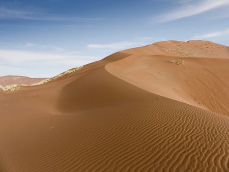 Beautiful colorful dunes of the Namib desert and dead trees in the Sossusvlei plato of the Namib Naukluft National Park - Namibia, South Africa